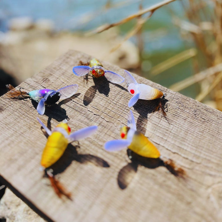 A collection of five cicada-shaped topwater lures displayed on a wooden surface.