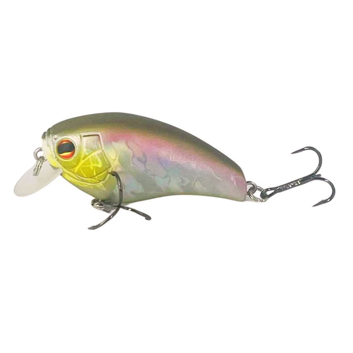 Shaker RL Shallow Crankbait 2.0 Spectrum Seducer 