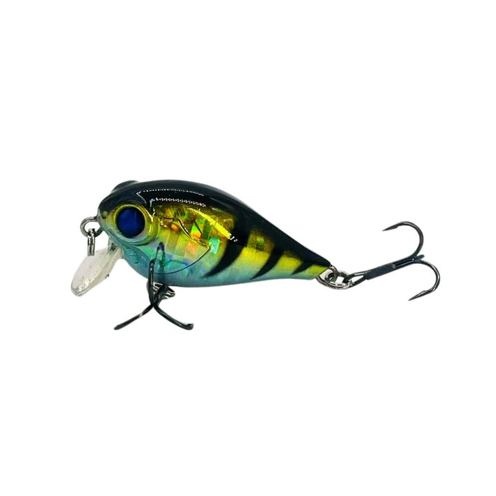 Chubby Shallow Runner Crankbait 1.0 Vibrant Splash