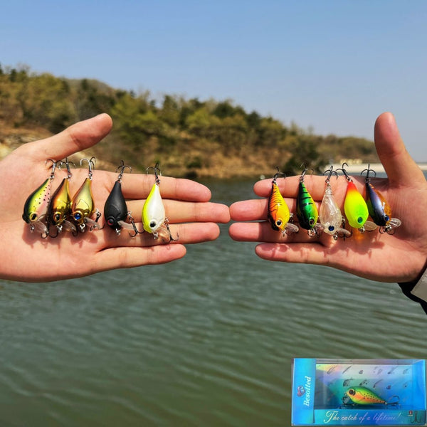 Chubby Shallow Runner Crankbait 1.0 Color collection