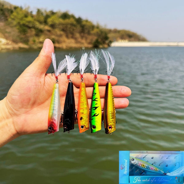 Splash Popper Topwater Lure color collection