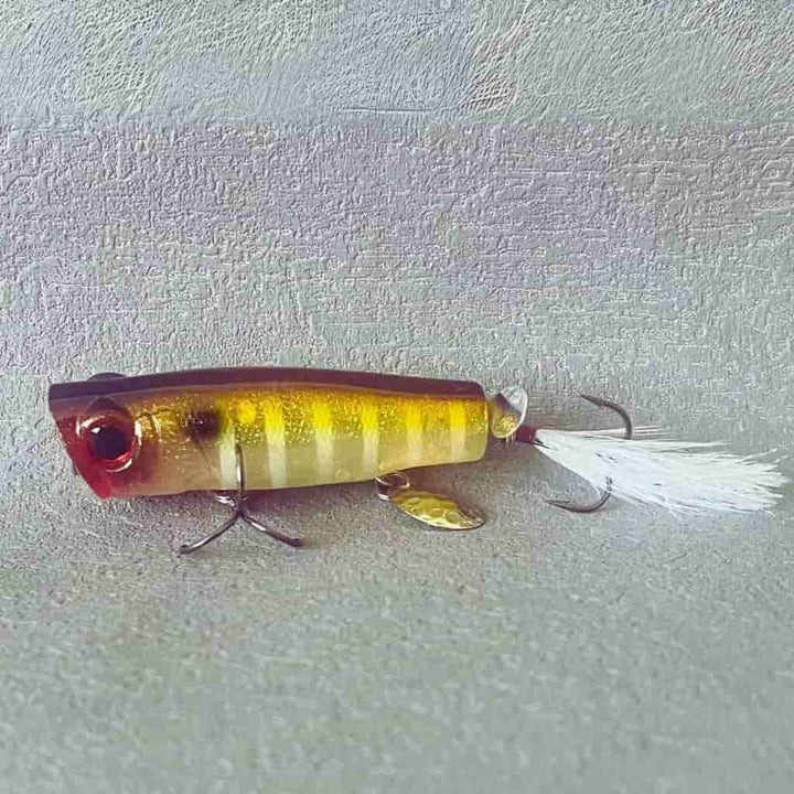 Full Equitment Popper Topwater Lure Brown Shine