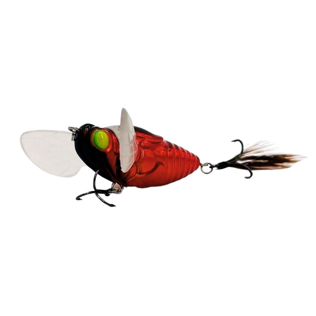 cicada fishing lures Cicada Original Topwater Lure| Besotted Lure