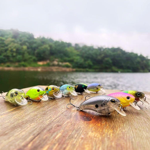 Shaker RL Shallow Crankbait 2.0 Color Collection